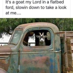 Meet your Posher, Colleen